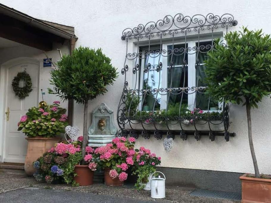 Dachwohnung Mit Seeblick Altmünster Dış mekan fotoğraf